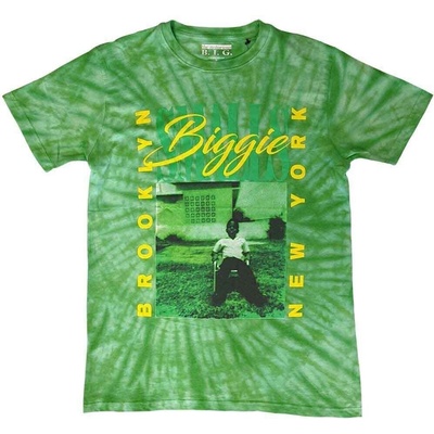 Notorious B. I. G Notorious B. I. G. 90's New York City (Wash Collection) Green M Риза (BIGTS22MDD02)