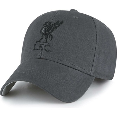 Fan-shop LIVERPOOL FC Core šedé