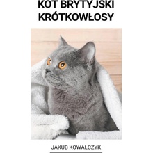 Kot brytyjski krótkow?osy