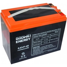 GOOWEI ENERGY 12V 45Ah 6-EVF-45