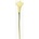KS CALLA BIELA 70CM