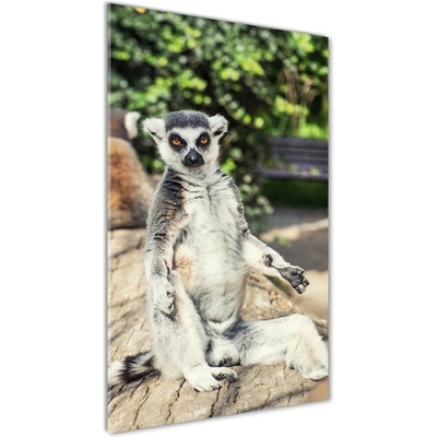 Vertikálny foto obraz fotografie na skle Lemur 50x100 cm
