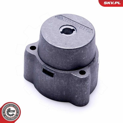 Spínač zapaľovania/štartu ESEN SKV 96SKV931 96SKV931
