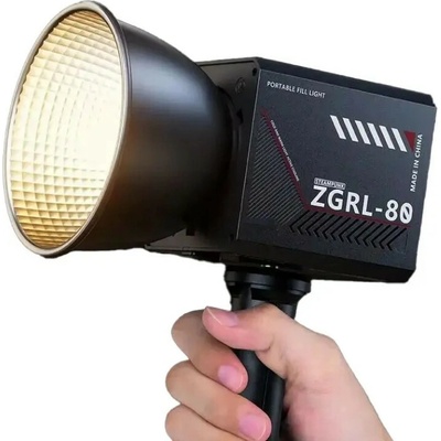 ZGRL-80 LED