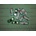Compatible Универсален ресет чип HIGH YIELD - HP 1300/ 1320/ 2420/ 4250/ P2015/ P3005 (Пакет от 10 бр. ) (mono-high-newp:5)