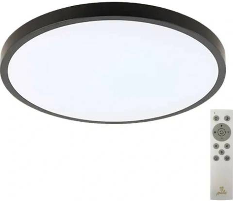 Nedes LCL554B