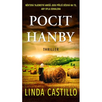 Pocit hanby - Linda Castillo