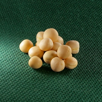 AROS hrách setý – žlutý