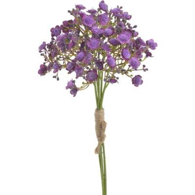 Gypsophila - šater 5 ks - fialová