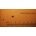 Compatible Пружина за палците, Phaser P8E, 12G0157 (12G0157)