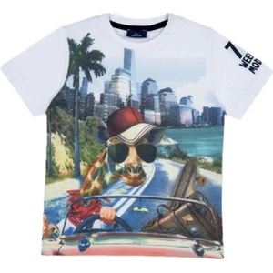 Chicco Boys Tee Multicolor Printed