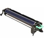 Ricoh D1882252