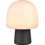 TRIO Черно-бяла настолна лампа със стъклен абажур (височина 27 cm) Steen - Trio (568200132)