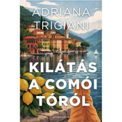 Kilátás a Comói-tóról