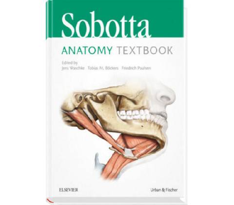 Sobotta Anatomy Textbook