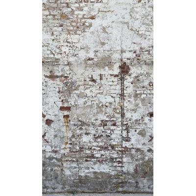 392381 Vliesový panel The Wall, rozmery 159 x 280 cm