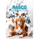 Adventní kalendáře RASCO Premium adventní kalendář pro psy