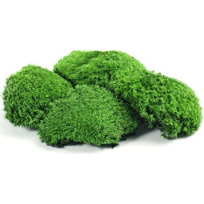 Stabilizovaný mach bochníčky 0,35 kg - prírodný tmavo zelený