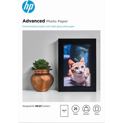HP 10 x 15 cm 250 g/m2 25 ks