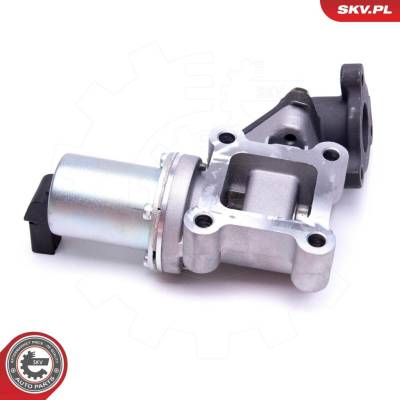 AGR-Ventil ESEN SKV 14SKV214