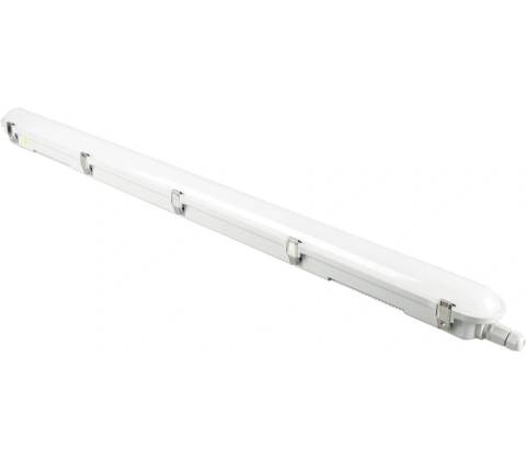 mlight 81-1355