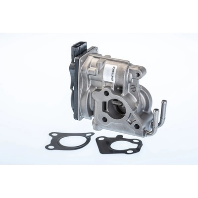 AGR - Ventil BorgWarner (Wahler) 710969R