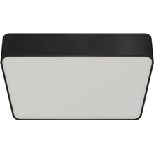IDEUS 3930