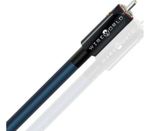 Wireworld Oasis 10