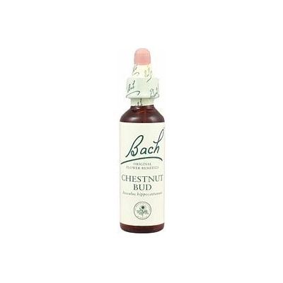 A. Nelson CHESTNUT BUD Pagaštan konský 20 ml