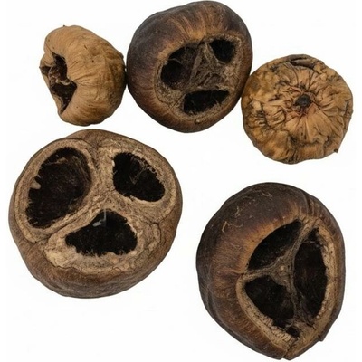 3452 Talami natur 8-10cm 6ks