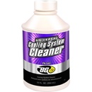 BG 540 Cooling System Flush 946 ml
