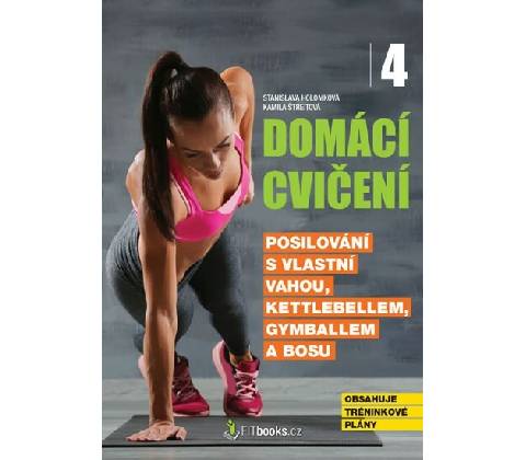 Domácí cvičení 4