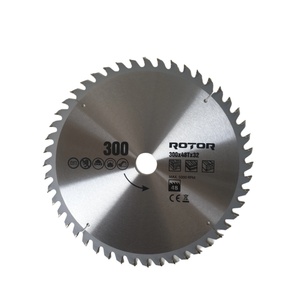  300x32 48t Диск за рязане на дърво rotor (21230)