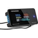 Keweisi KWS-AC300-100A