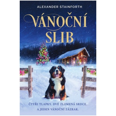 Vánoční slib - Alexander Stainforth