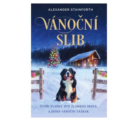 Vánoční slib - Alexander Stainforth