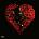Superache - Conan Gray CD