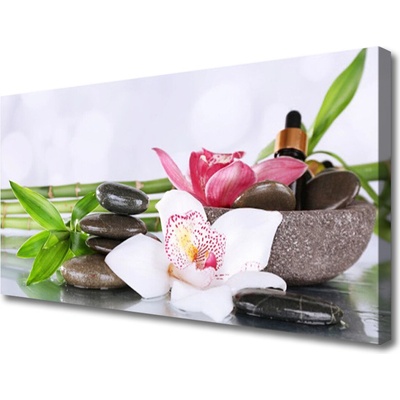 Obraz Canvas Orchidea kamene bambus 100x50 cm