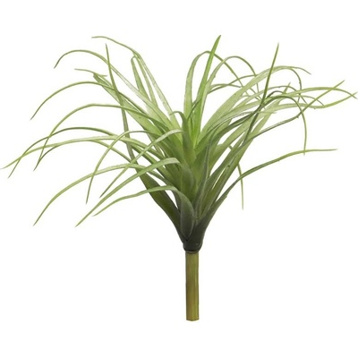 Kykatka - Tilandsie / Tillandsia Hutan zelená V25 cm