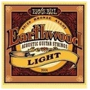 Ernie Ball 2004