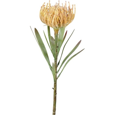 Ego Dekor Изкуствено цвете (височина 43 cm) Protea - Ego Dekor (ZDP-43789-04)