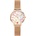 Daniel Wellington DW00100723
