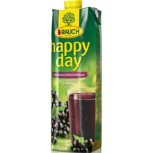 Rauch Happy Day čierna ríbezľa 1l