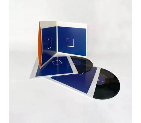 Underworld Beaucoup Fish 2 LP