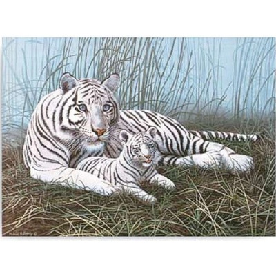 Malování podle čísel Bílý tygr s mládětem