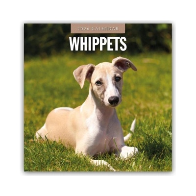 Browntrout Verlags GmbH Whippets - Whippet 2026 - 16-Monatskalender | Red Robin Publishing Ltd