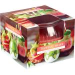 BISPOL Ароматна свещ Bispol Aura - Tropical Shake, 80 g (sn69-256)