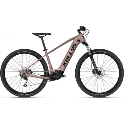 Kellys Tayen R10 P 29