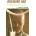 Breaking Bad | David P. Pierson
