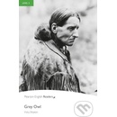 Grey Owl - Vicky Shipton